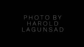 Harold photo collection