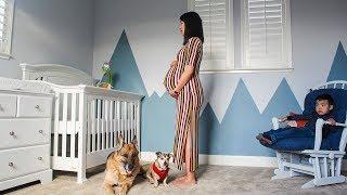 Time Lapse: Pregnant to Baby. Photo a day. VOL 2 (2019)