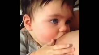 Baby Feeding Mother Milk First Time. Baby Cute Brestfeeding - Mommy's Hungry Funny baby 2018