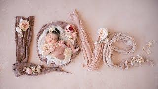 Beautiful Newborn Photoshoot with Adorable Baby Girl