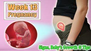 13 WEEKS PREGNANT SYMPTOMS, BABY’S GROWTH, AND HEALTHY PREGNANCY TIPS