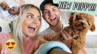 SURPRISING MY HUSBAND WITH A PUPPY!!!