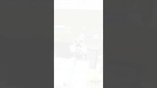 Minhas fotos  no  menicraft  pe