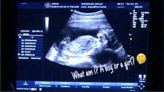 OUR GENDER REVEAL!!! BOY OR GIRL?!?!?