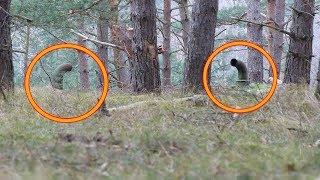 Two Guys Noticed These Pipes Sticking Out Of The Ground. They Never Expected This To Be Underneath
