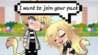 The "last" legendary lion ep.2 《I want to join your pack》[gay love story]{original}Gacha Life