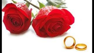 Best Whatsapp Status for Rose Day 2019 ¦ Valentine Week 2019