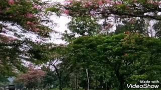 Beautiful Goalpara